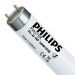 Philips TL-D HF Super 80 16W 840 MASTER | 59cm