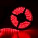 LED strip 5M 24WÂ