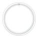 Philips CorePro T9 Circular G10q 20W 840 | Kaltweiß
