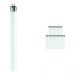 Multipack 25x Philips TL Mini 8W 840 Super 80 (MASTER) | 29cm -