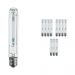 Multipack 12x Philips SON-T PIA Plus 250W 220 E40 (MASTER)
