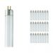 Mehrfachpackung 25x Osram Basic 8W 830 G5 Lumilux | 29cm