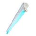 Philips Batten TMS030 1xT8 18W/TUV HFP UV-C 60cm