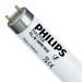 Philips TL-D 58W 835 Super 80 (MASTER) | 150cm - Blanco Frio