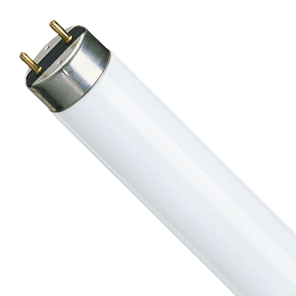 Philips TL-D 58W 840 Super 80 (MASTER) | UNP | 150cm Philips TL-D 58W 840 Super 80 (MASTER) | UNP | 150cm