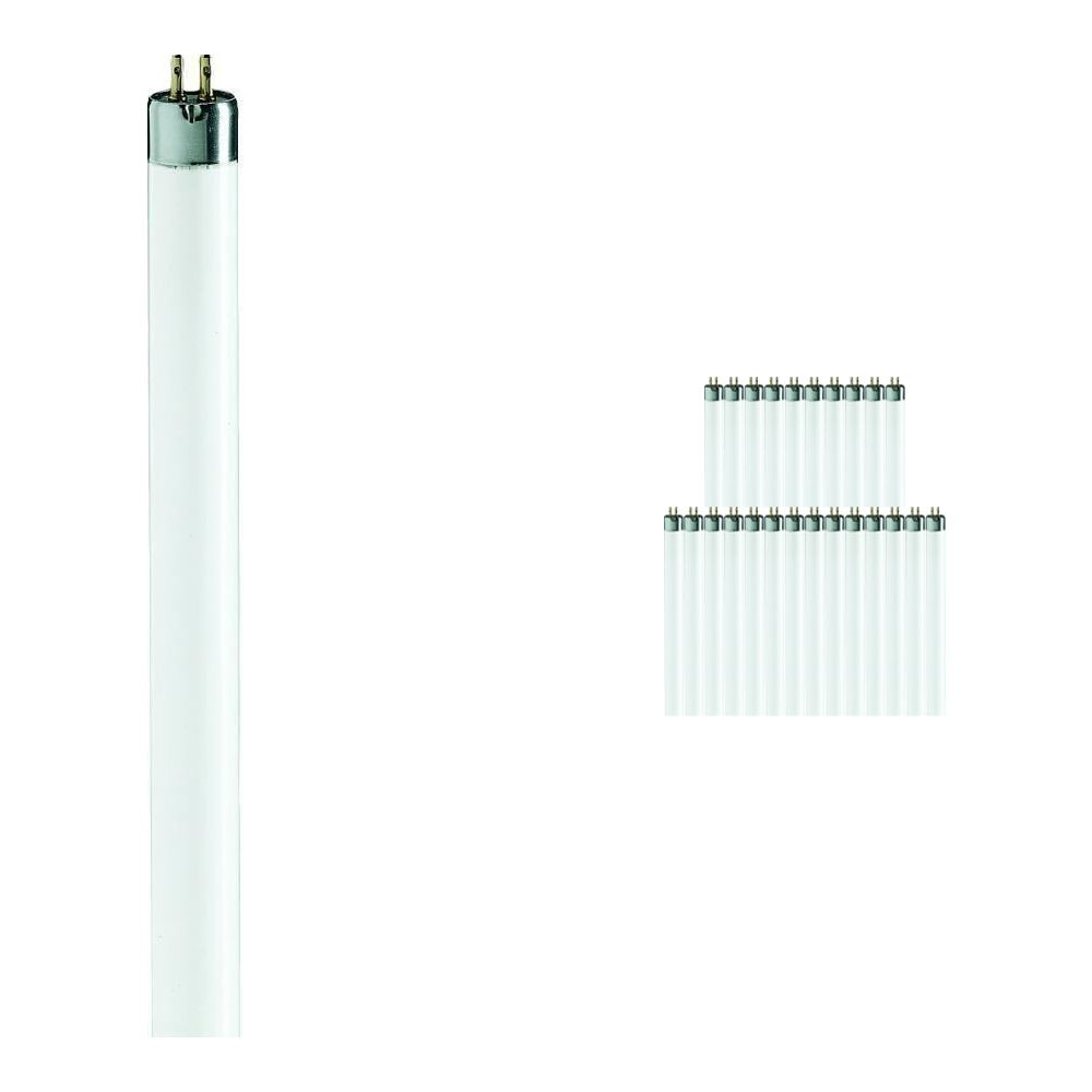 Mehrfachpackung 25x Philips TL Mini 8W 840 Super 80 (MASTER) | 29cm - Kaltweiß Mehrfachpackung 25x Philips TL Mini 8W 840 Super 80 (MASTER) | 29cm - Kaltweiß