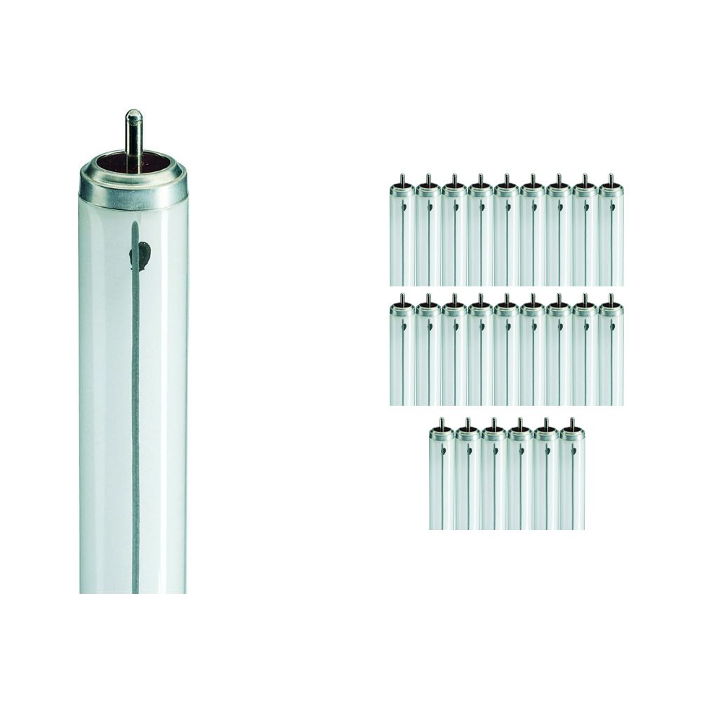 Mehrfachpackung 25x Philips TL-X XL 40W 33-640 - 118cm Mehrfachpackung 25x Philips TL-X XL 40W 33-640 - 118cm