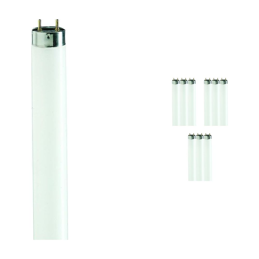 Mehrfachpackung 10x Philips TL-D 90 De Luxe 36W 965 - 120cm (MASTER) Mehrfachpackung 10x Philips TL-D 90 De Luxe 36W 965 - 120cm (MASTER)