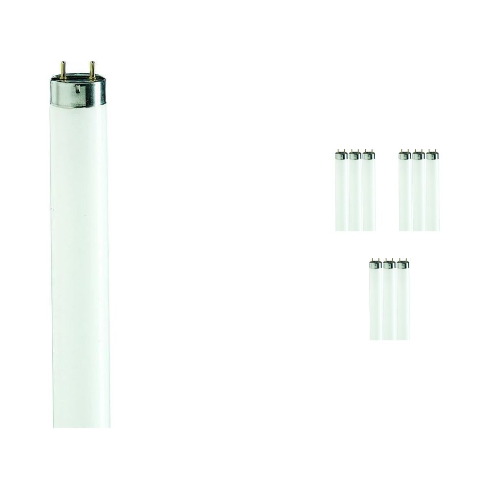 Voordeelpak 10x Philips TL-D 90 De Luxe 58W 950 - 150cm (MASTER) Voordeelpak 10x Philips TL-D 90 De Luxe 58W 950 - 150cm (MASTER)