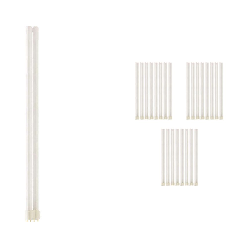 Voordeelpak 25x Philips PL-L 55W 840 4P (MASTER) | 4-Pins Voordeelpak 25x Philips PL-L 55W 840 4P (MASTER) | 4-Pins