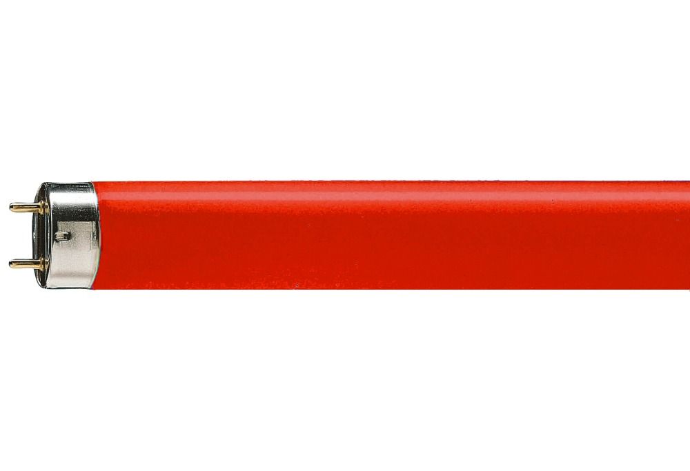 Osram Colored 58W 60 G13 | 150cm - Red Osram Colored 58W 60 G13 | 150cm - Red