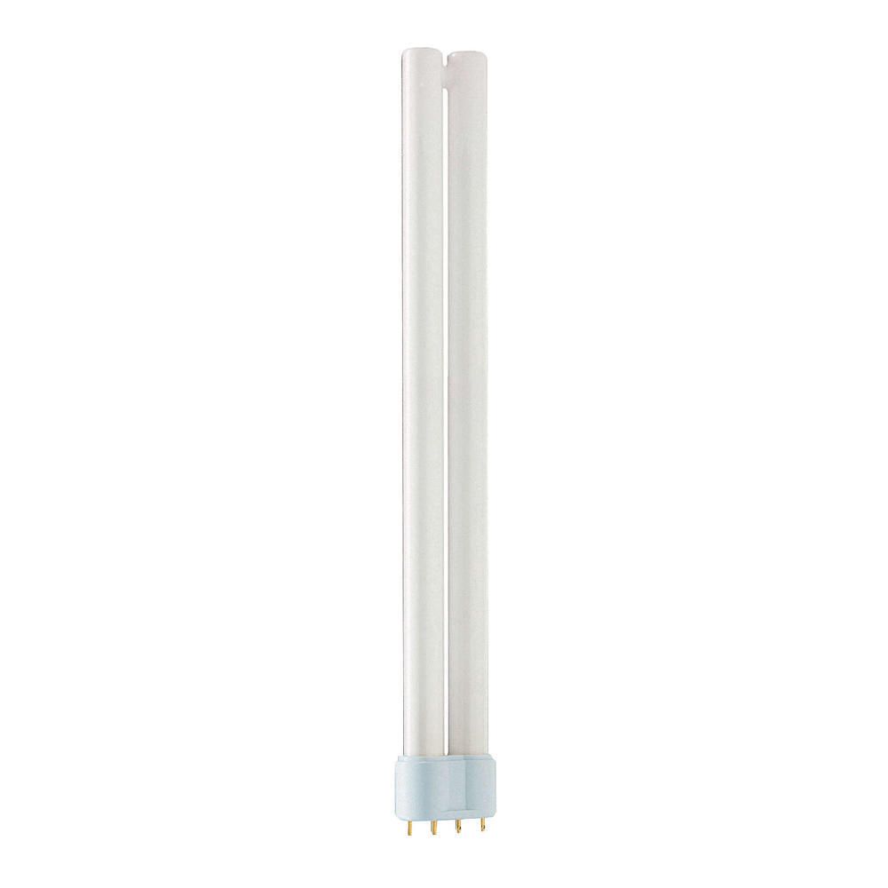 Philips PL-L Polar 36W 830 4P (MASTER) | Lämmin Valkoinen - 4-Nastaa Philips PL-L Polar 36W 830 4P (MASTER) | Lämmin Valkoinen - 4-Nastaa
