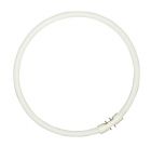 Sylvania Circline Plus T5 40W 840 2GX13 | Blanc Froid