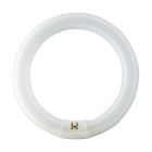 Osram Lumilux T9 C 22W 840 G10Q | Cool White