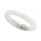 Sylvania Circline Plus T9 32W 830 G10Q | Warm white