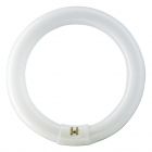 Osram Lumilux T9 C 32W 840 G10Q