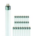 Voordeelpak 20x Philips TL5 HE 14W 830 (MASTER) | 55cm - Warm Wit