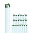 Fordelspakke 25x Philips TL-D 38W 840 Super 80 (MASTER) | 104.5cm - kold hvid