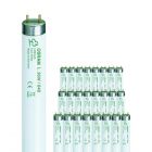 Multipack 25x Osram L 36W/840