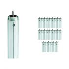 Mehrfachpackung 25x Philips TL-X XL 40W 33-640 - 118cm