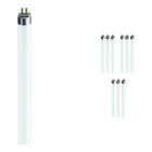 Mehrfachpackung 10x Philips TL5 HO 80W 840 (MASTER) | 145cm - Kaltweiß