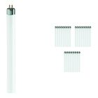 Mehrfachpackung 25x Philips TL Mini 13W 33-640 - 52cm