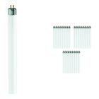 Voordeelpak 25x Philips TL Mini 6W 840 Super 80 (MASTER) | 21cm - Koel Wit