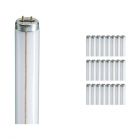 Multipack 25x Philips TL-M RS 65W 33-640 - 150cm
