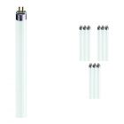 Voordeelpak 10x Philips TL5 HE 35W 840 (MASTER) | 145cm - Koel Wit