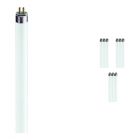 Fordelspakke 10x Philips TL5 HO 49W 840 (MASTER) | 145cm - kold hvid