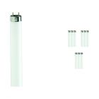 Voordeelpak 10x Philips TL-D 90 De Luxe 58W 950 - 150cm (MASTER)