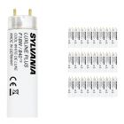 Multipack 25x Sylvania T8 Luxline Plus F18W 840 | 60cm - Cool White