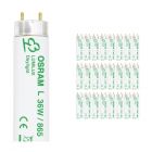 Confezione Multipack 25x Osram L 36W 865 Lumilux | 120cm - Luce del Giorno