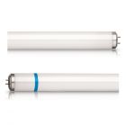 Philips TL-D 18W 10 Secura Actinic BL | 60cm - Blacklight