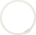 Sylvania Circline Plus T5 55W 830 2GX13 | Blanc Chaud