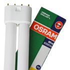 Osram Dulux L 80W 840 | Blanc Froid - 4-Pins