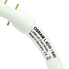 Osram FC 40W 840 Circline Lumilux