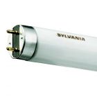 Sylvania T8 Luxline Plus F25W 840 83cm | 2300 Lumen