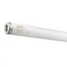 Sylvania Instant Rapid Start F40W T12 640 120cm | Blanc Froid