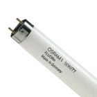 Osram Fluora 36W 77 G13 | 120cm