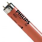 Philips TL-D Colored 18W (MASTER) | 59cm - Rouge