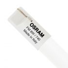 Osram T2 FM 8W 740 Fluorescent Miniature W4.3 | 32cm - 450 Lumen