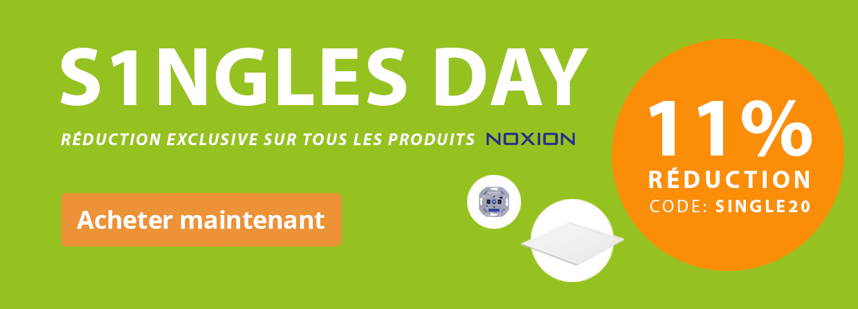 Singles Day 11.11.2020 Budgetlight