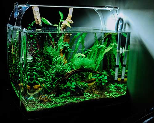 lampen aquarium wie rum lampen aquarium wie rum