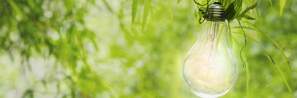 led bulb environment